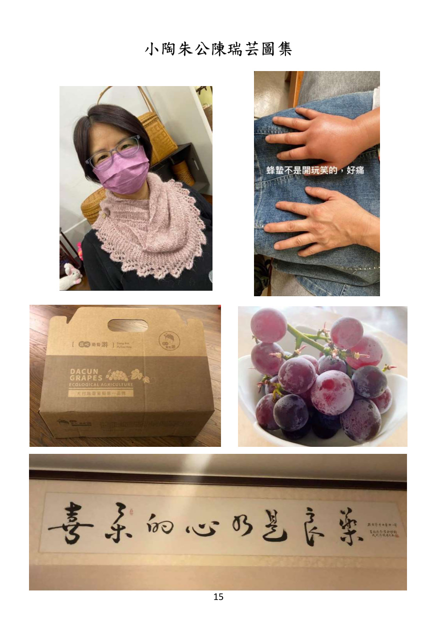 第 16 頁